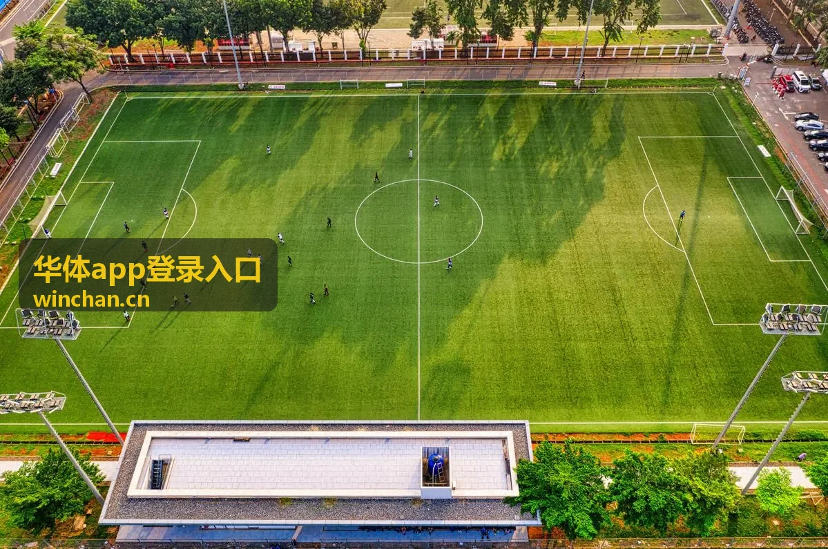 华体app登录入口账号安全与验证说明页面