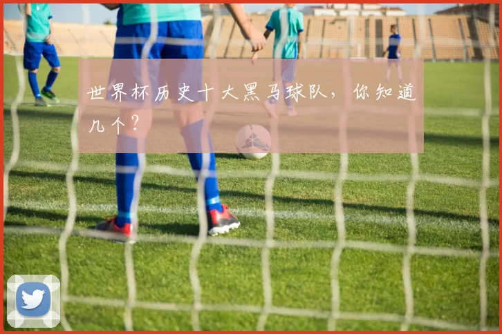 世界杯历史十大黑马球队，你知道几个？